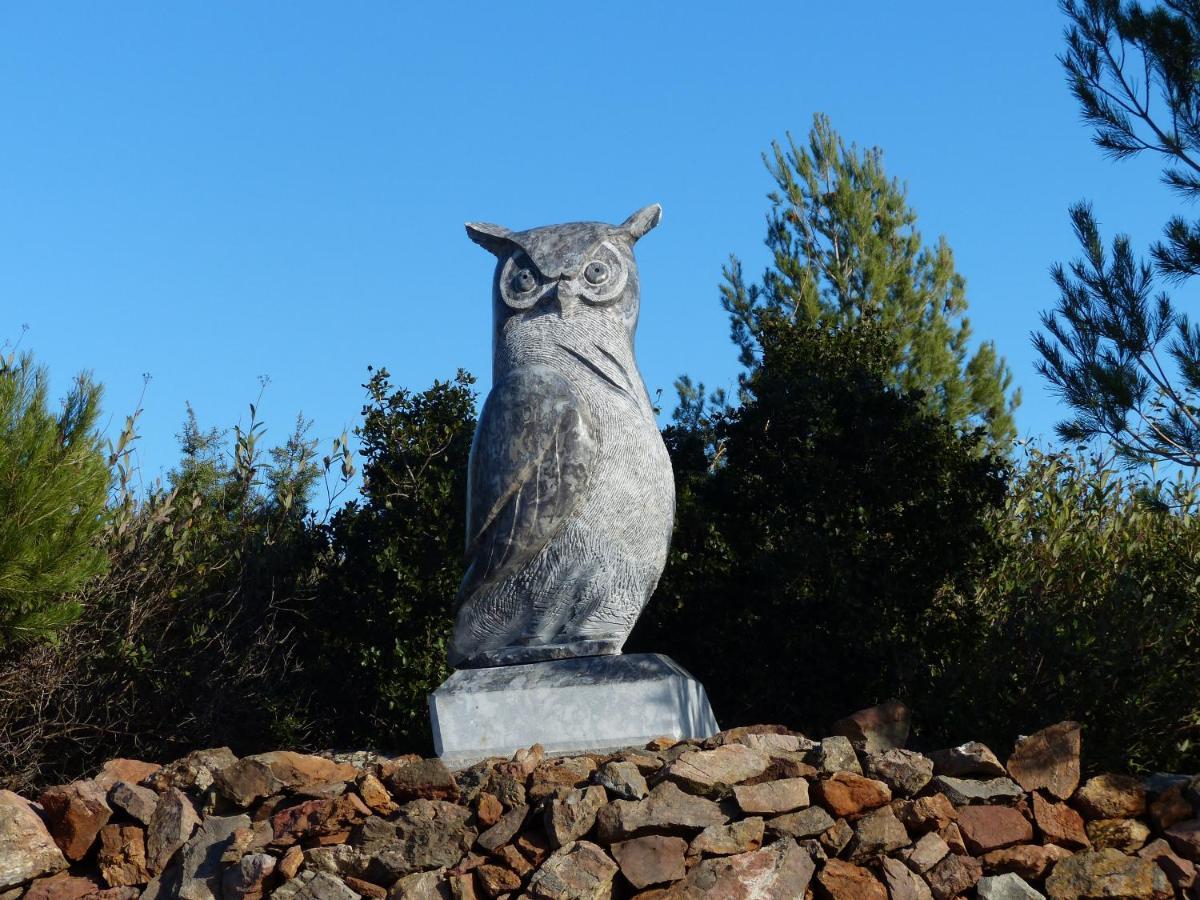 L'Incarnat Villa Caunes-Minervois Luaran gambar